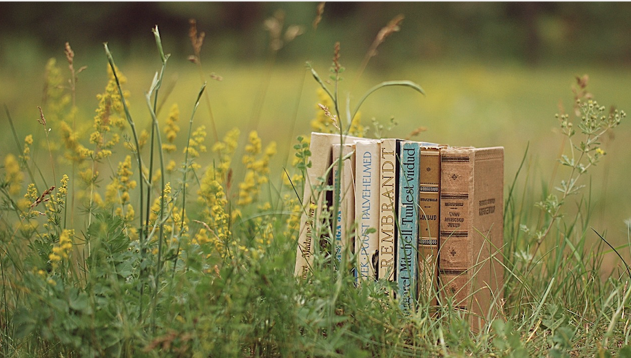 How to Write an A+ Essay Title Image. Books in grass.